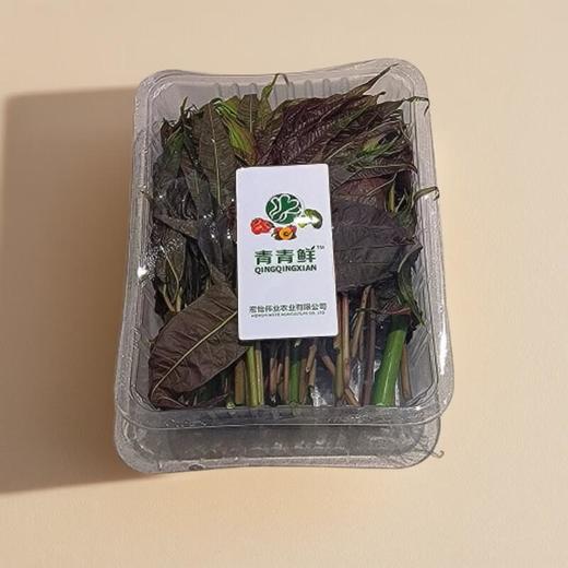 香椿 约150g/盒 商品图0