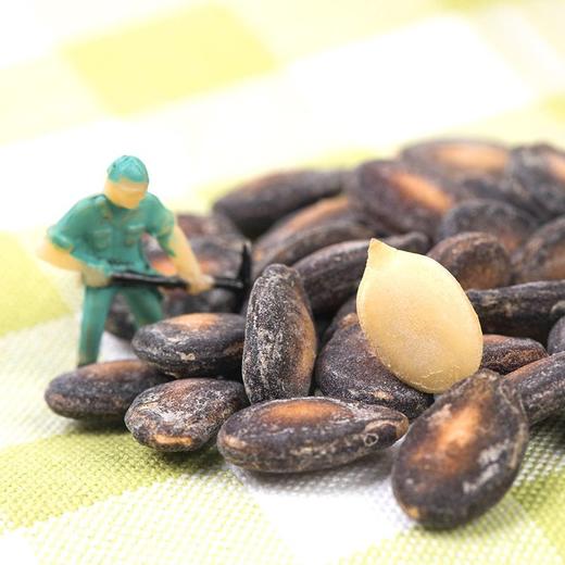 洽洽小而香奶油味西瓜子 180g 商品图2