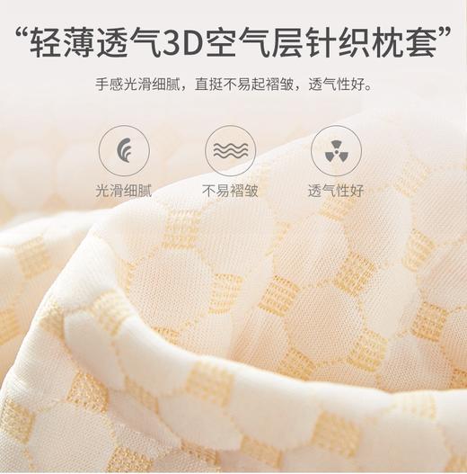 红豆-相思豆颗粒乳胶颗粒枕(礼盒装) 礼品 商品图7