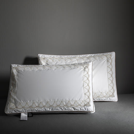 【品牌直发】加倍生活  深睡蚕丝养颜枕 高密纯棉面料  精美刺绣 带检测口 商品图1