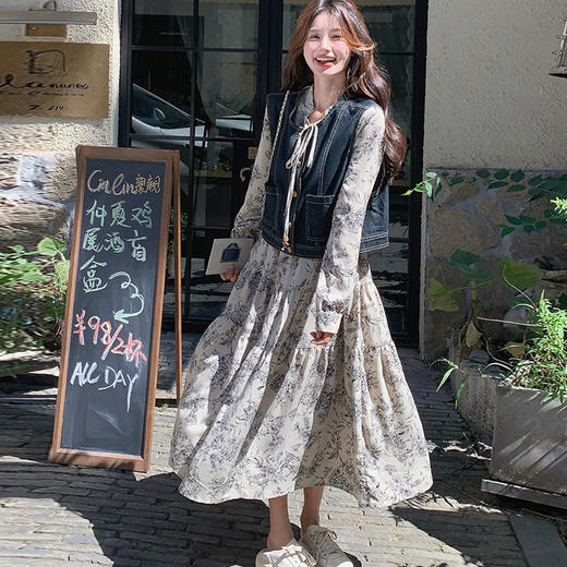 春季2025新款 盐系轻熟风减龄文艺水墨画连衣裙牛仔短外套装_HLY 商品图5