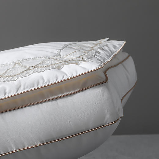 【品牌直发】加倍生活  深睡蚕丝养颜枕 高密纯棉面料  精美刺绣 带检测口 商品图6