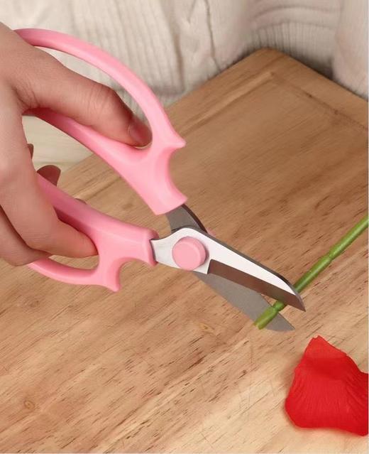 【特惠】花艺沙龙剪刀 粉色 商品图2