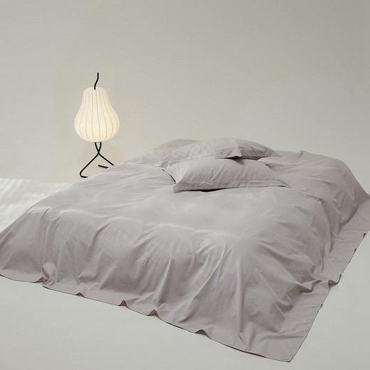 高端100支新疆长绒棉磨毛床单单件全棉加厚纯棉被单枕套三件套冬 商品图1