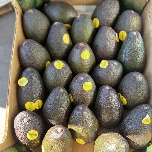 (即食)进口牛油果【大果】：高营养的“森林奶油”冰淇淋口感，丝滑绵密像吃奶酪一样有奶香，高蛋白、高能量、低脂低卡，低糖分。 商品图2