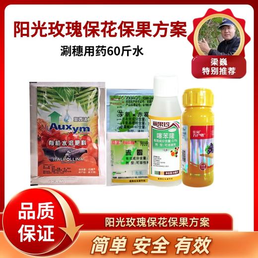 阳光玫瑰葡萄保花保果方案 商品图0