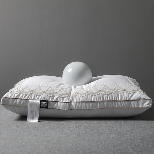 【品牌直发】加倍生活  深睡蚕丝养颜枕 高密纯棉面料  精美刺绣 带检测口 商品图4