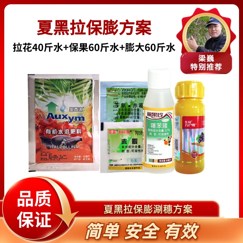 夏黑葡萄涮穗方案（拉花序40斤水+保果60斤水+膨大60斤水    拉保膨）