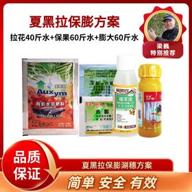 夏黑葡萄涮穗方案（拉花序40斤水+保果60斤水+膨大60斤水    拉保膨）