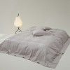 高端100支新疆长绒棉磨毛床单单件全棉加厚纯棉被单枕套三件套冬 商品缩略图2