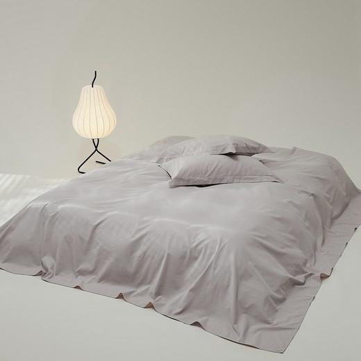 高端100支新疆长绒棉磨毛床单单件全棉加厚纯棉被单枕套三件套冬 商品图2