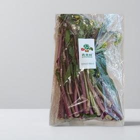 红菜苔 约500g/份