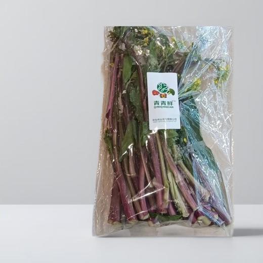 红菜苔 约500g/份 商品图0