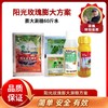 阳光玫瑰葡萄膨大方案    只有膨大一次的用药  60斤水 商品缩略图0