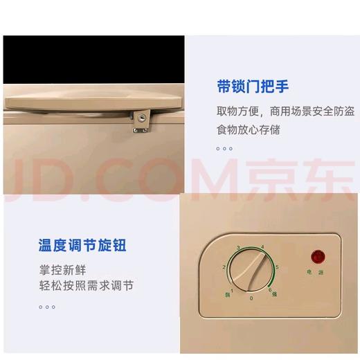 白雪402升双温冷藏冷冻柜BDX-402AHU铜管制作236升冷冻，166升冷藏 商品图2