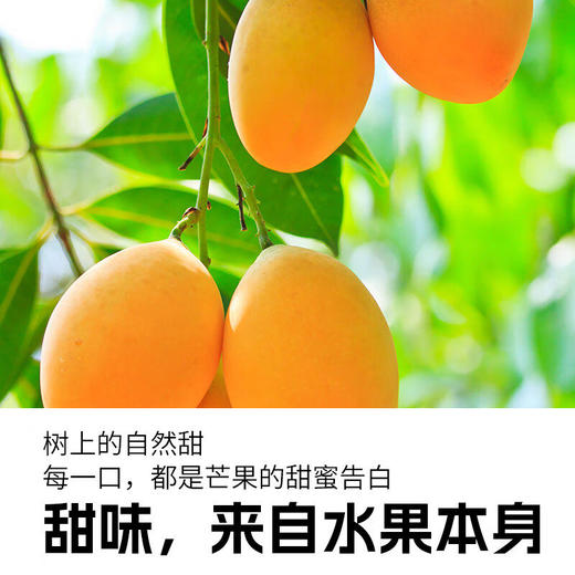 乐源芒果汁果蔬秘诀饮料100%275ml*8瓶 商品图3