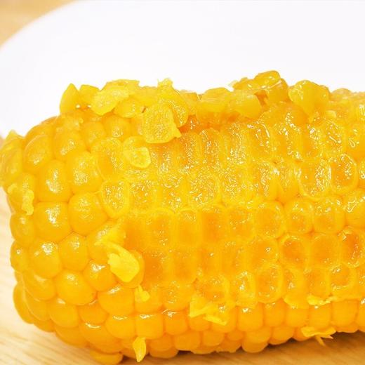 特价内蒙古少有沙土地玉米沙土地黄糯玉米  8根装 商品图1