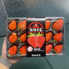 红颜草莓15个装/300g+ 商品缩略图2