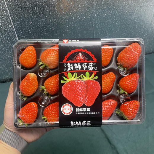 红颜草莓15个装/300g+ 商品图2
