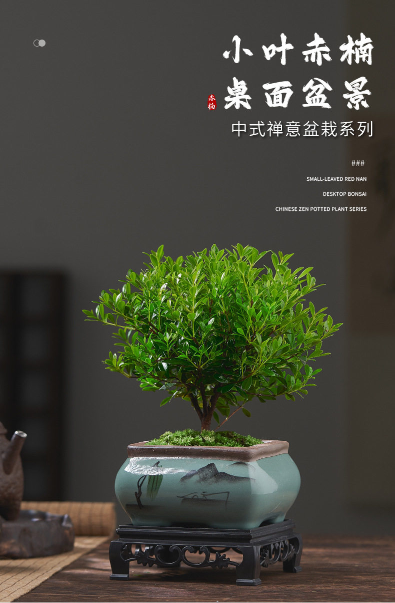 hWuQiv+lytTTaj2CXi/PXkEJTzz95vqvCZ6+