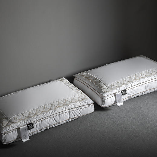 【品牌直发】加倍生活  深睡蚕丝养颜枕 高密纯棉面料  精美刺绣 带检测口 商品图2