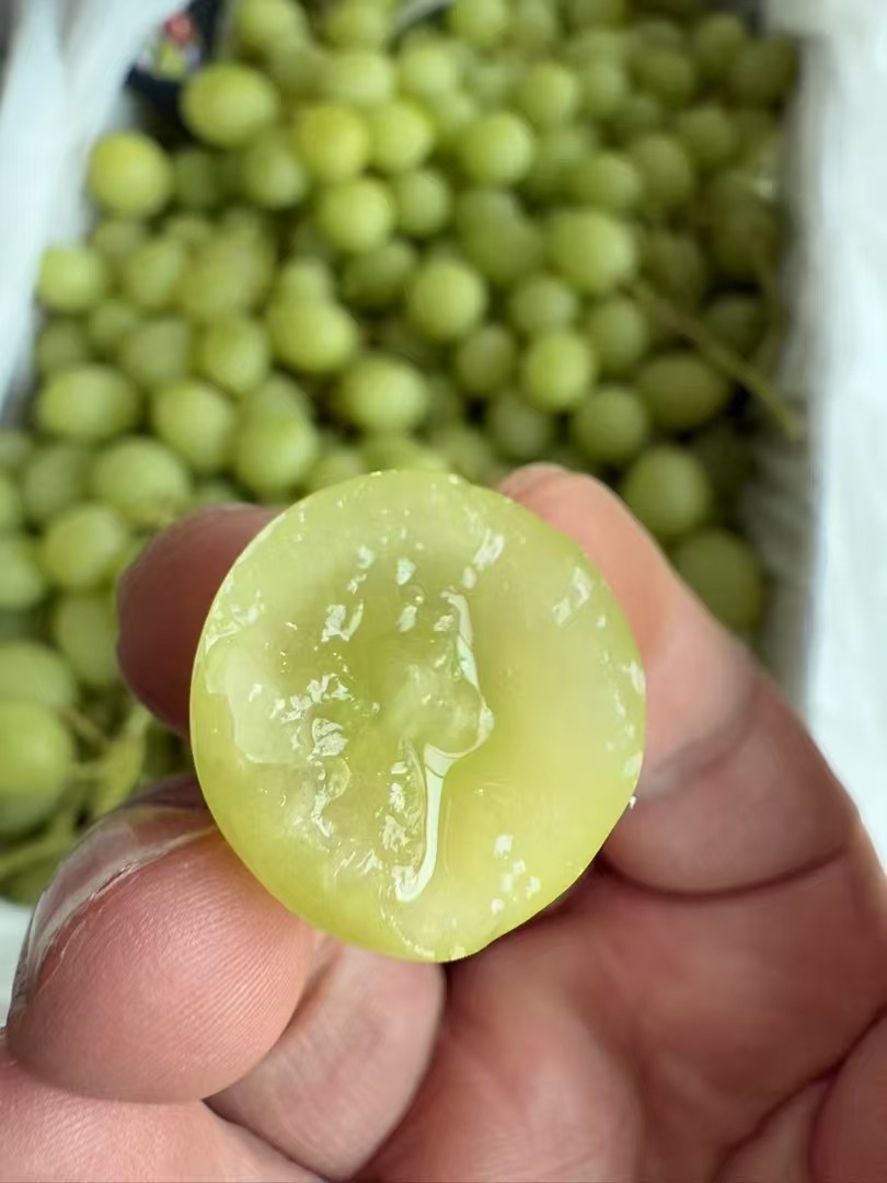 【进口】超脆甜！澳洲的，非智利。甜地球，纯甜无籽不带一丝涩，入口爆爆珠，水冲冲一颗接一颗，好爽，孩子超爱。