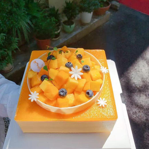 嗨森蛋糕一芒果慕斯 商品图0