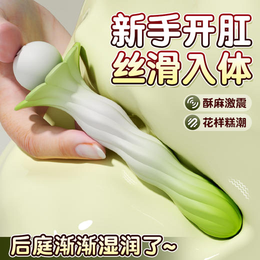 安可尼绿漾仙姿肛塞棒 商品图7