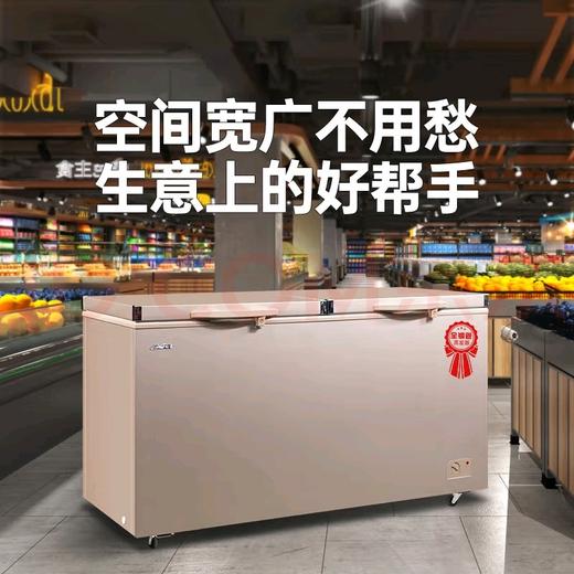 白雪402升双温冷藏冷冻柜BDX-402AHU铜管制作236升冷冻，166升冷藏 商品图5