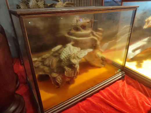 金蟾蜍/ZSP-JCC 商品图0