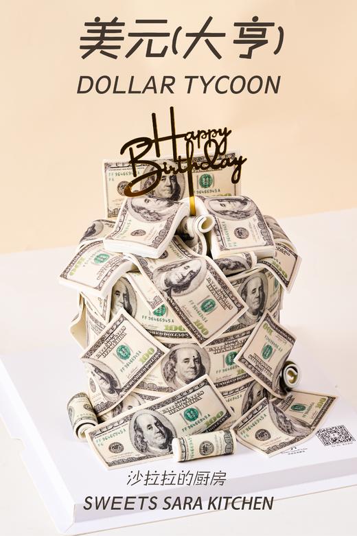 美元大亨 商品图2