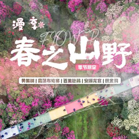 5天【春之山野】黄果树瀑布-高荡布依寨-百里杜鹃-安顺龙宫-织金洞|莫待花期过，赏花正当时 商品图0