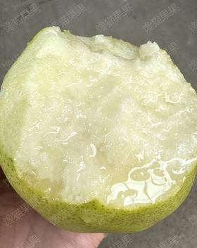 玉贵妃，梨儿！爆汁青梨玉露香  天上蟠桃宴，人间玉露香！超大个，肉厚核小汁多味甜。轻拿轻放，嫩到落地即炸裂！