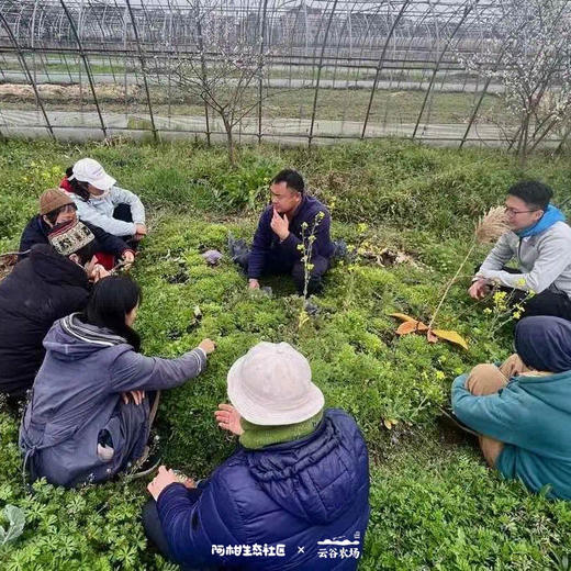 朴门永续设计（PDC认证课程）【线下】课程 商品图4