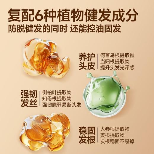 💥买即送‼冰川水💥秒杀‼【到手￥36.6/瓶】左颜右色 防脱洗发水300ml*3瓶装防脱固发清爽控油蓬松男女适用 商品图2