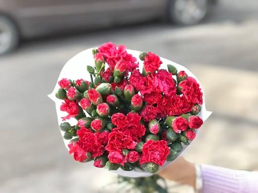 多头康乃馨10只 商品图2