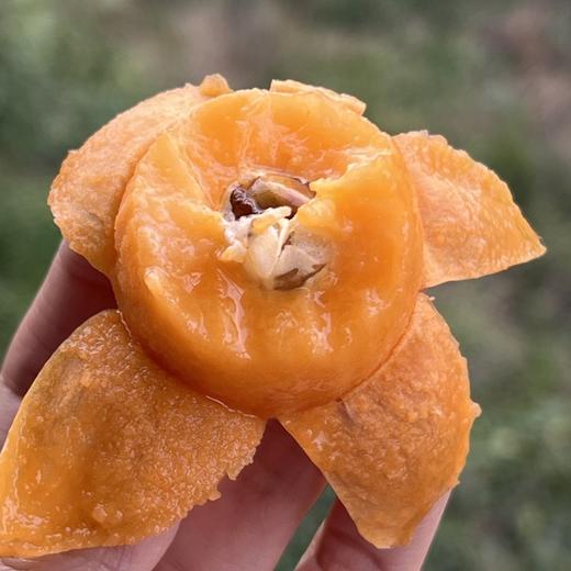 云南宾川鸡足山大五星枇杷 商品图1