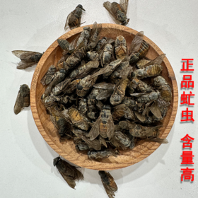 采云堂正宗虻虫中药材牛虻虫精选大个手工挑选无杂质气味浓郁干货