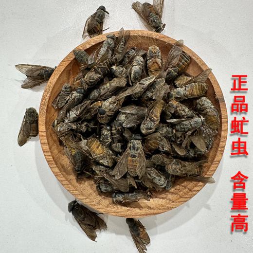 采云堂正宗虻虫中药材牛虻虫精选大个手工挑选无杂质气味浓郁干货 商品图0