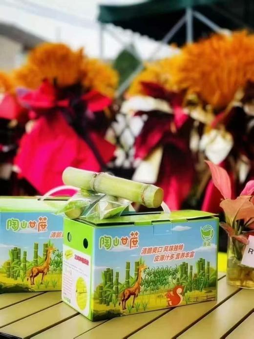 周六取货 ：【正宗陶山甘蔗】一箱毛重4斤左右，渣软多汁，脆甜松软！甜而不腻！营养丰富，天然种植！ 商品图4