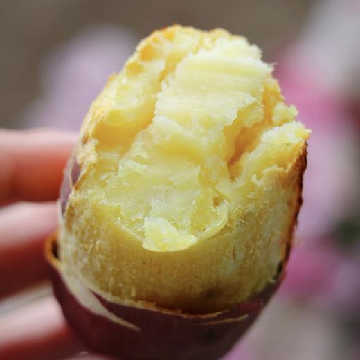 🍠海南 · 沙地 · 富硒 · 鸣门金时地瓜 · 粉糯香甜（精品单果2-8两） 商品图3