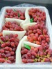 克伦生葡萄脆甜(2斤) 商品缩略图1