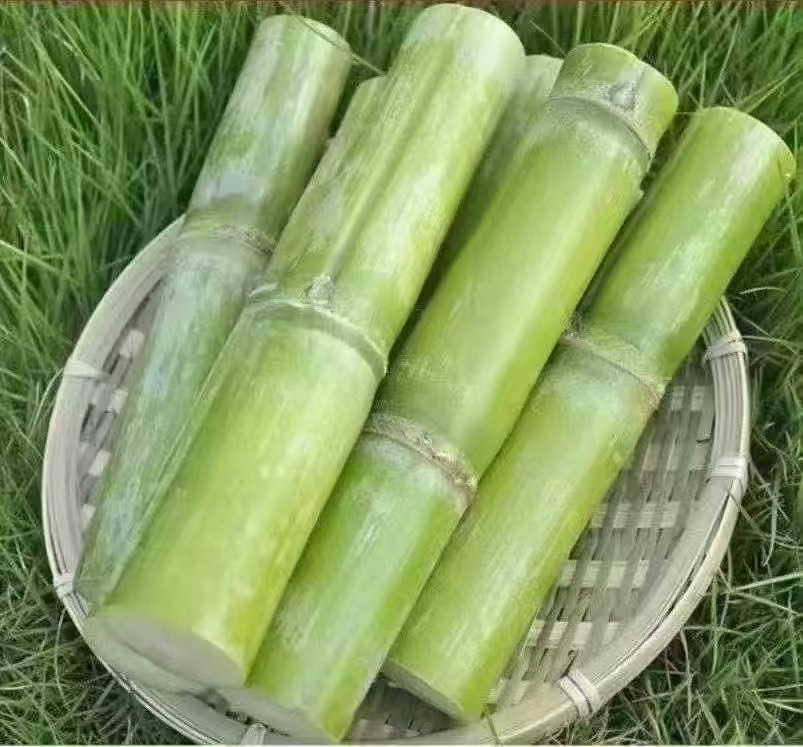 周五取货 ：【正宗陶山甘蔗】一箱毛重4斤左右，渣软多汁，脆甜松软！甜而不腻！营养丰富，天然种植！