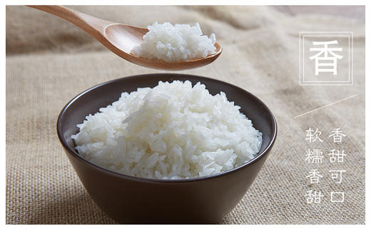 吉内得晒谷硒米5kg（当季新米） 商品图7