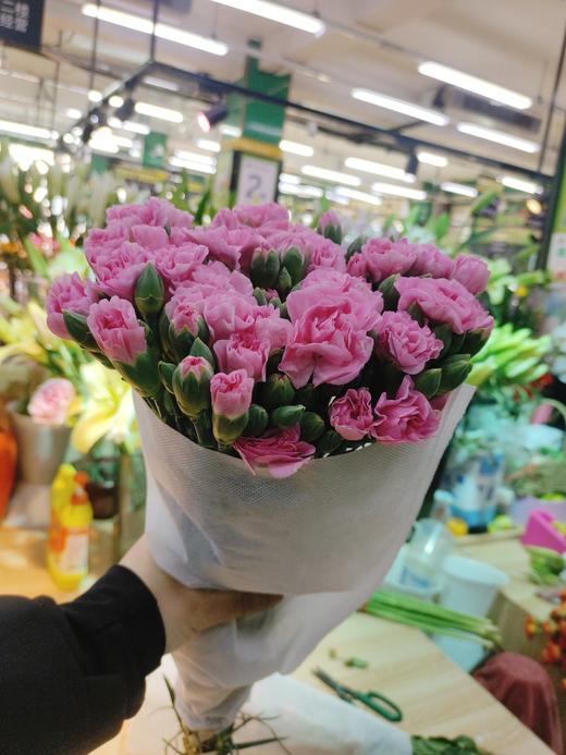 多头康乃馨10只 商品图0