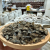 采云堂正宗虻虫中药材牛虻虫精选大个手工挑选无杂质气味浓郁干货 商品缩略图1