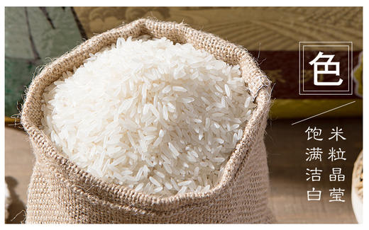 吉内得晒谷硒米5kg（当季新米） 商品图5
