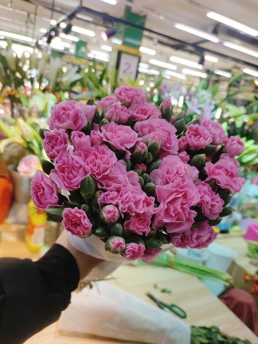 多头康乃馨10只 商品图1