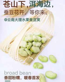 云南大理蚕豆荚（苍山下，洱海边）买3斤装+送1斤
