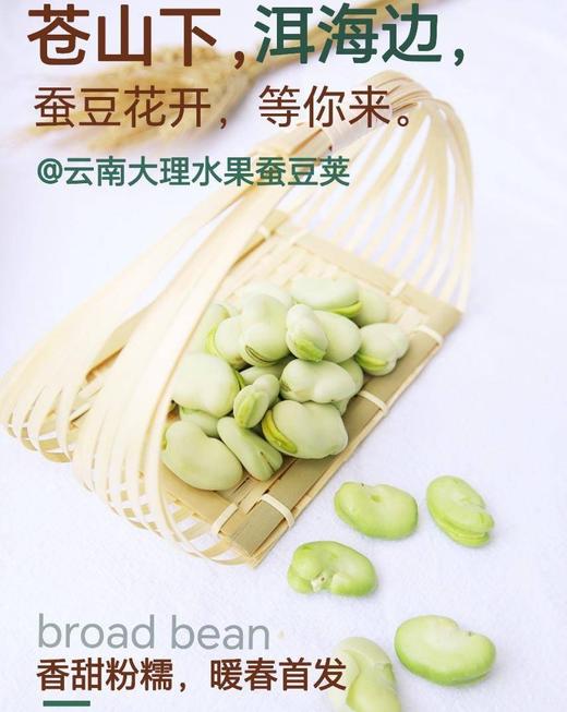 云南大理蚕豆荚（苍山下，洱海边）买3斤装+送1斤 商品图0